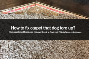 How-to-fix-carpet-that-dog-tore-up.png