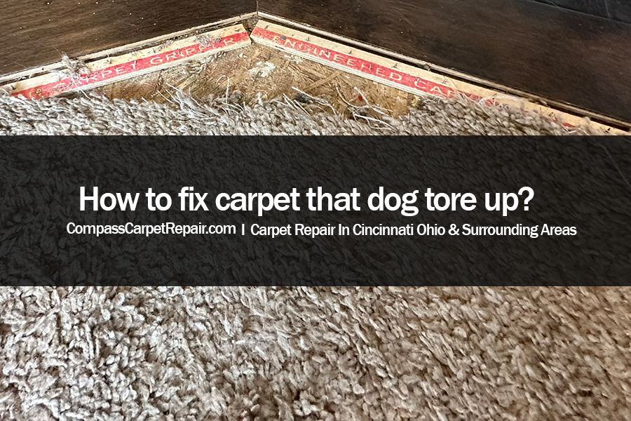 How-to-fix-carpet-that-dog-tore-up.png